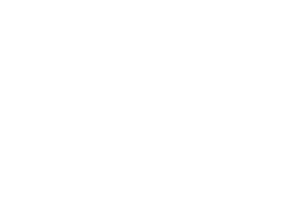 fosis-b